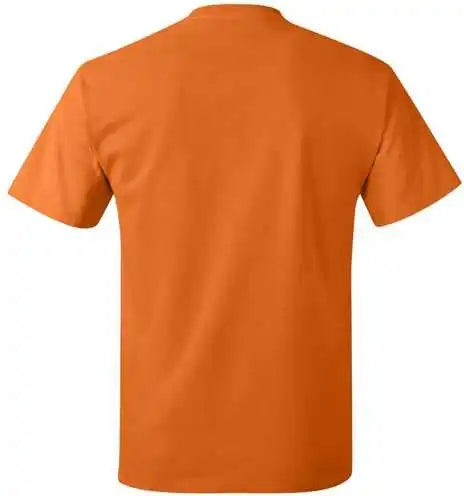 Hanes 5250 Authentic Short Sleeve t Shirt Safety Orange