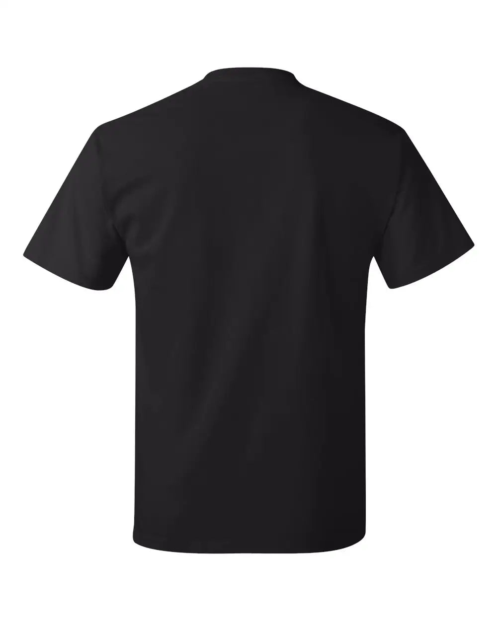 Hanes 5250 Authentic T-shirt - Black
