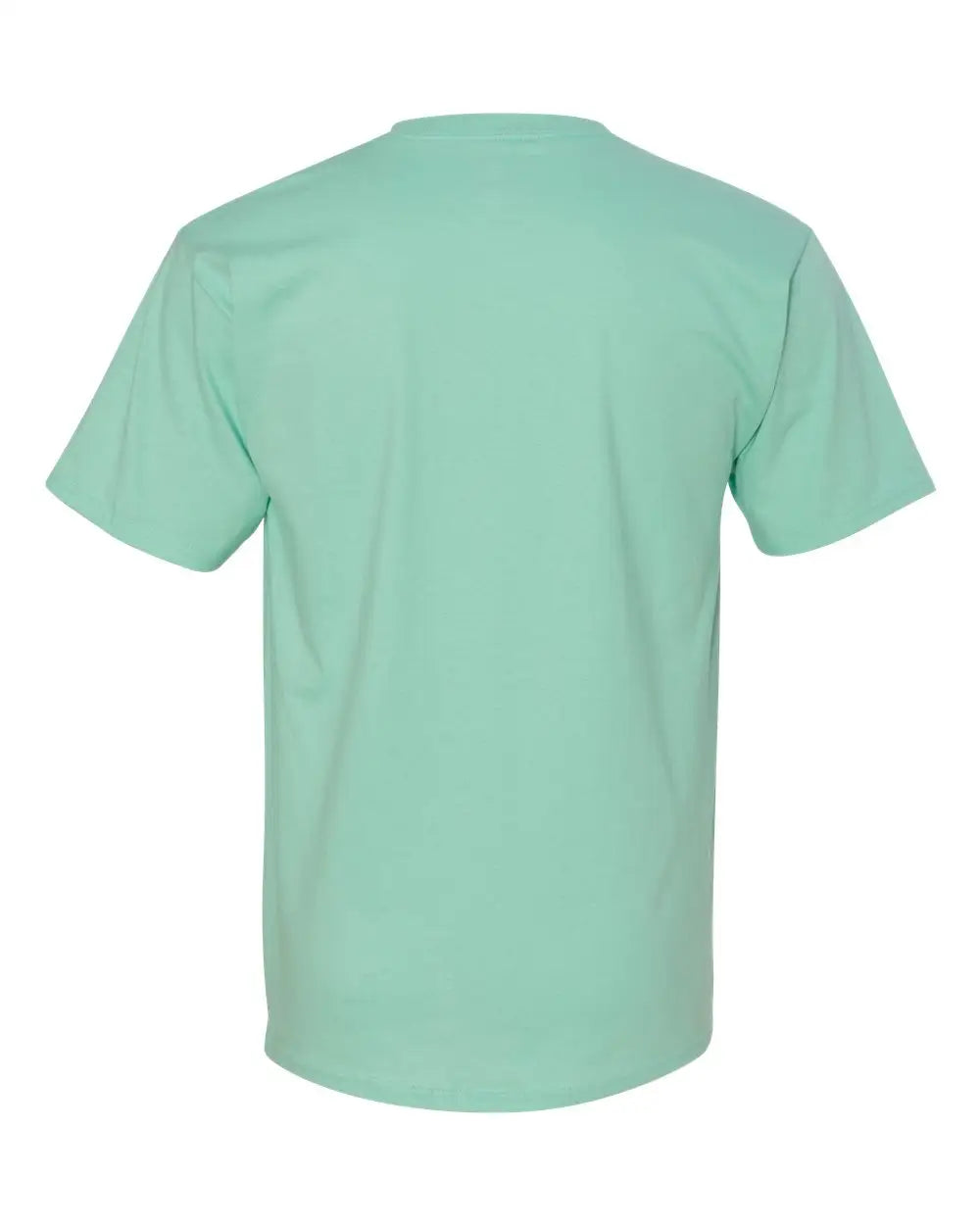 Hanes 5250 Authentic T-shirt - Clean Mint