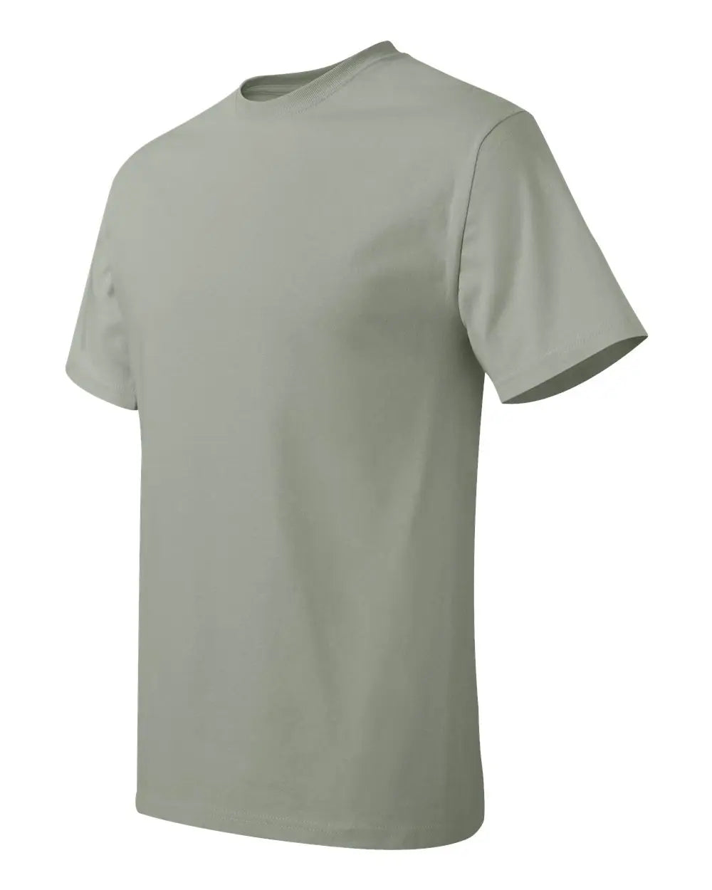 Hanes 5250 Authentic T-shirt - Stonewashed Green