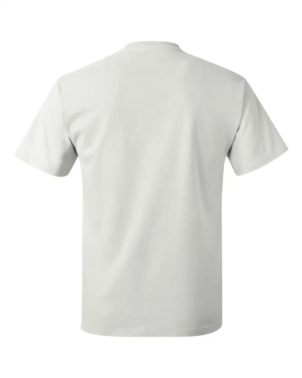 Hanes 5250 Authentic T-shirt - White
