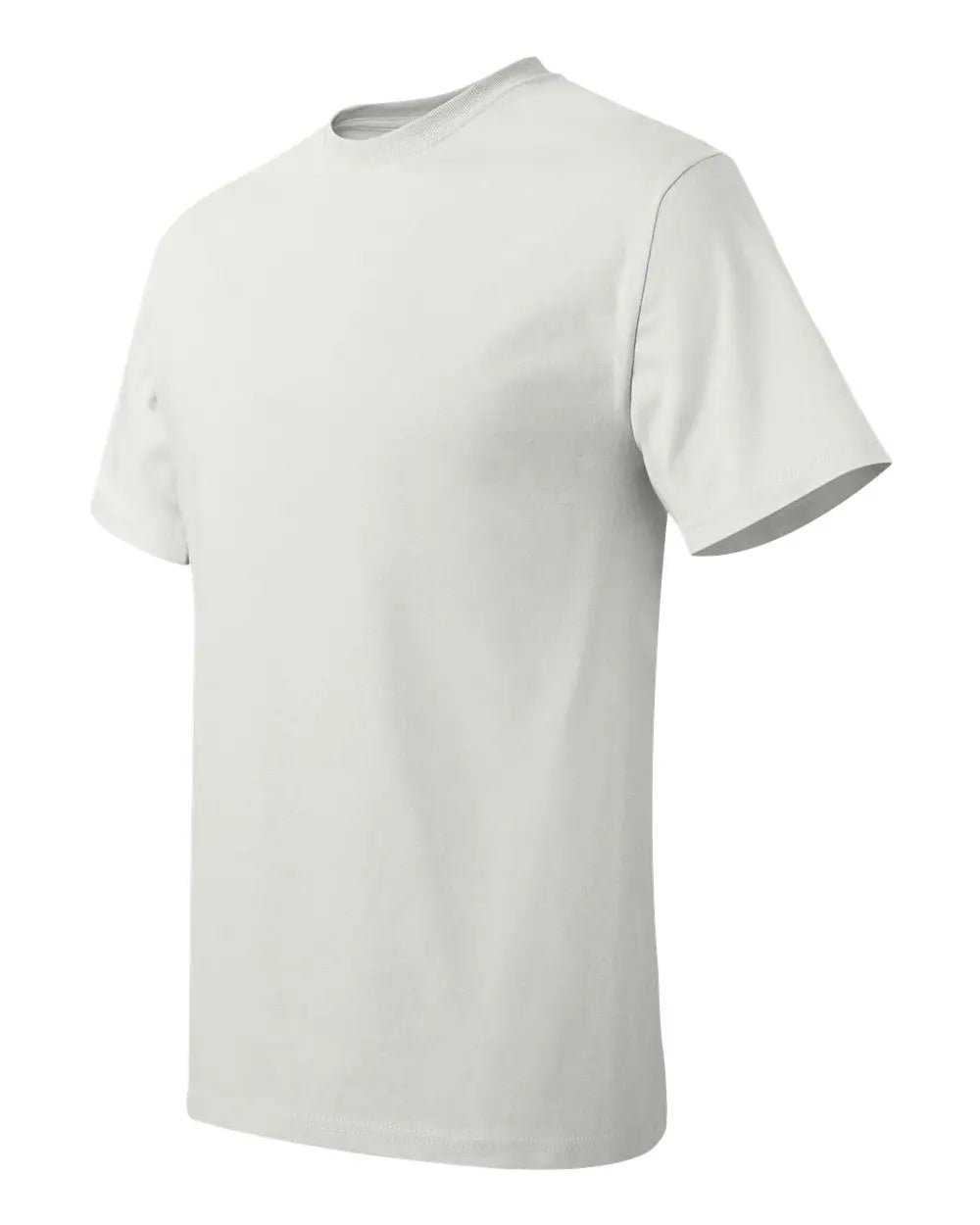 Hanes 5250 Authentic T-shirt - White - s