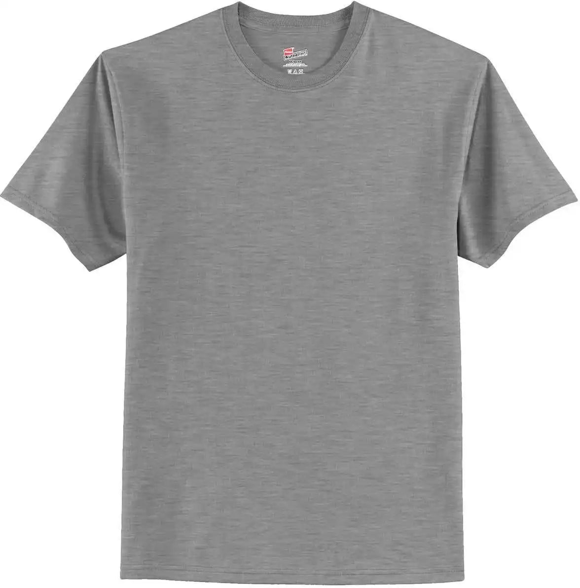 Hanes 5250 Tagless 100% Cotton t Shirt Light Steel
