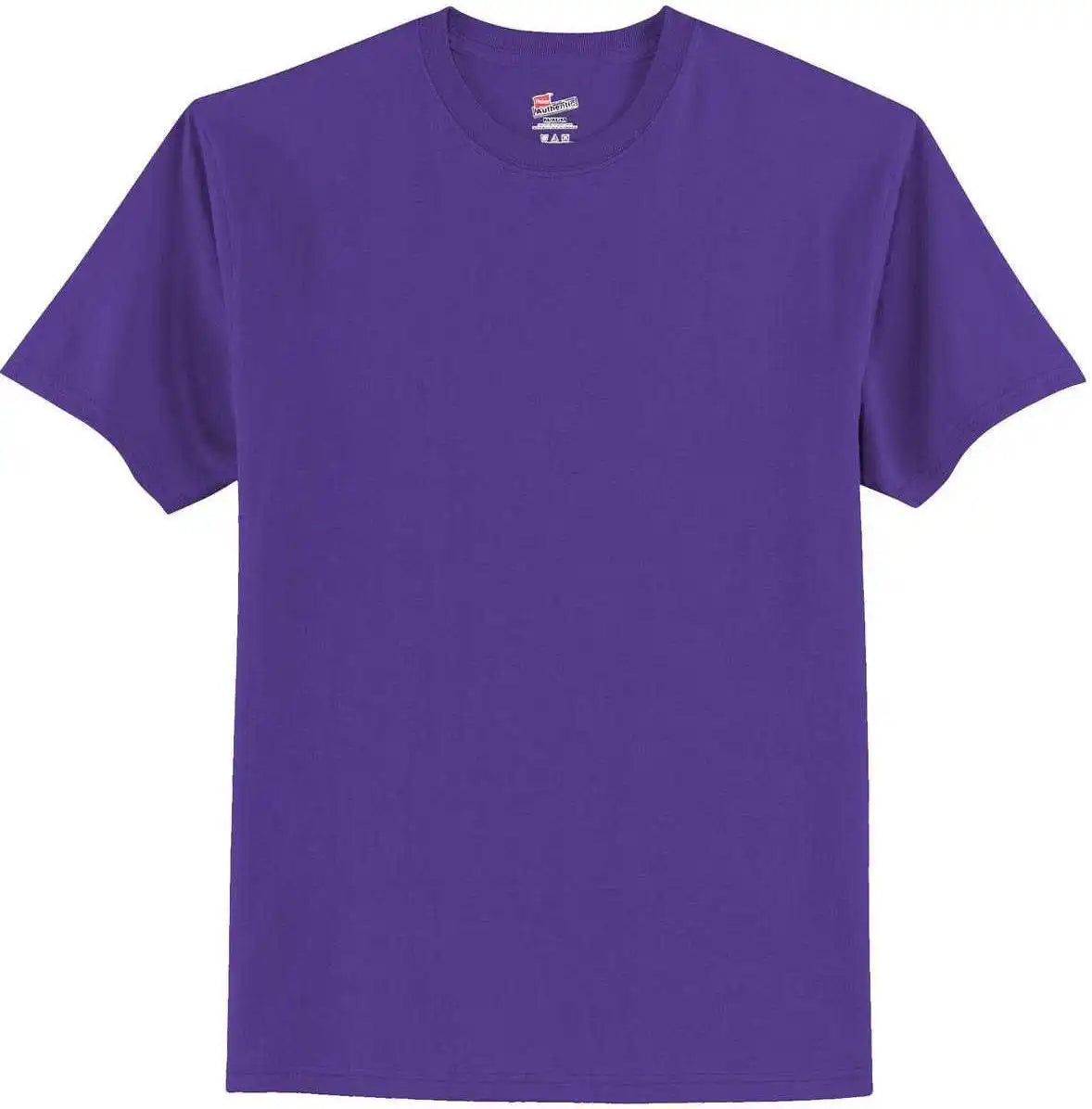 Hanes 5250 Tagless 100% Cotton t Shirt Purple
