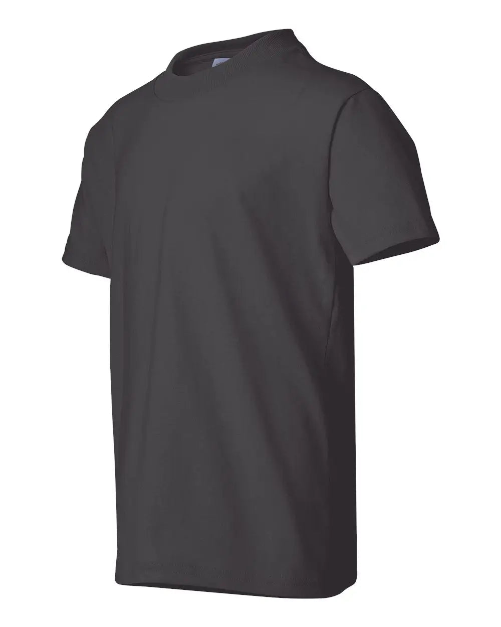Hanes 5370 Ecosmart™ Youth T-shirt - Smoke Grey - Gray / Xs