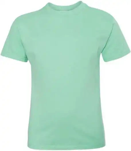 Hanes 5450 Authentic Youth Short Sleeve t Shirt Clean Mint