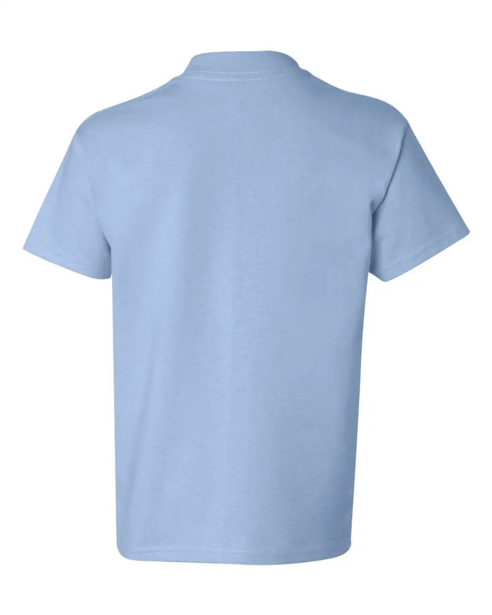 Hanes 5450 Authentic Youth T-shirt - Light Blue