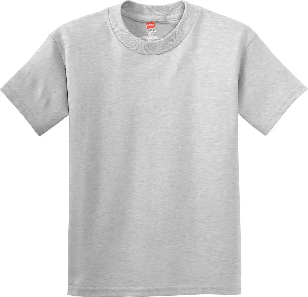 Hanes 5450 Youth Tagless 100% Cotton t Shirt Ash