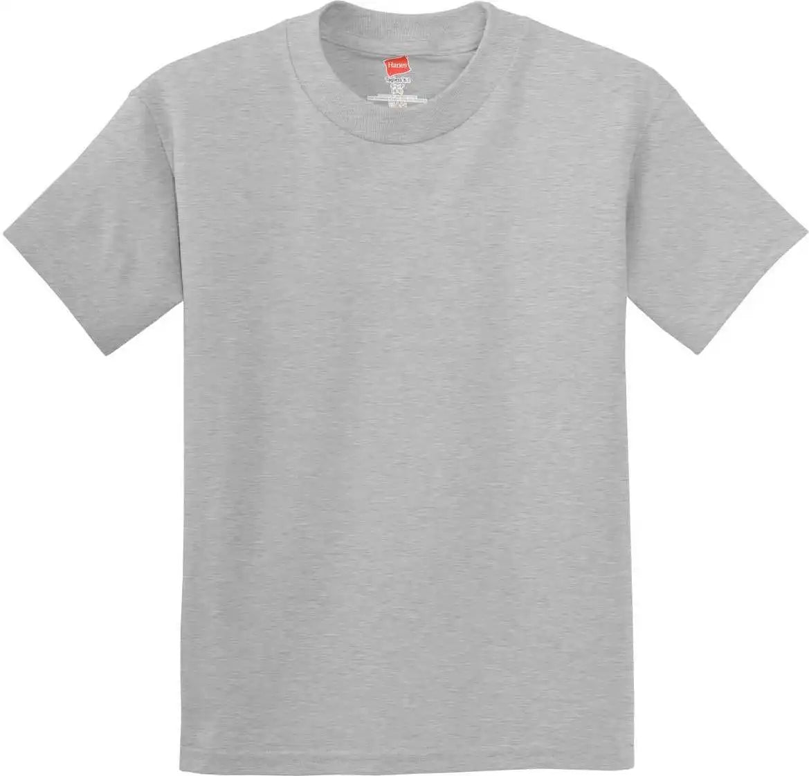 Hanes 5450 Youth Tagless 100% Cotton t Shirt Light Steel