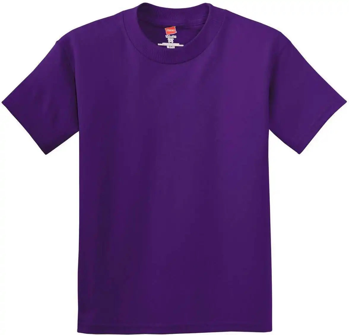 Hanes 5450 Youth Tagless 100% Cotton t Shirt Purple