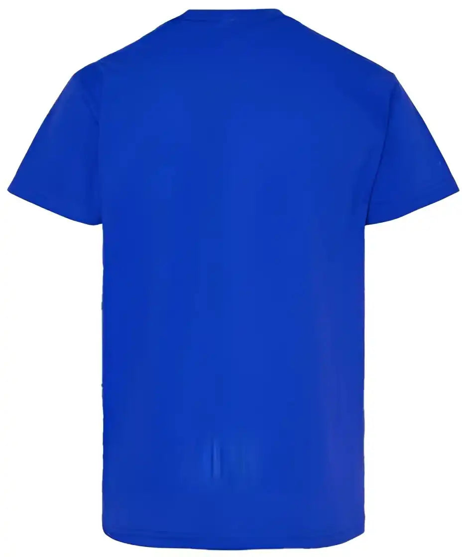 Hanes 5480 Essential-t Youth T-shirt - Athletic Royal