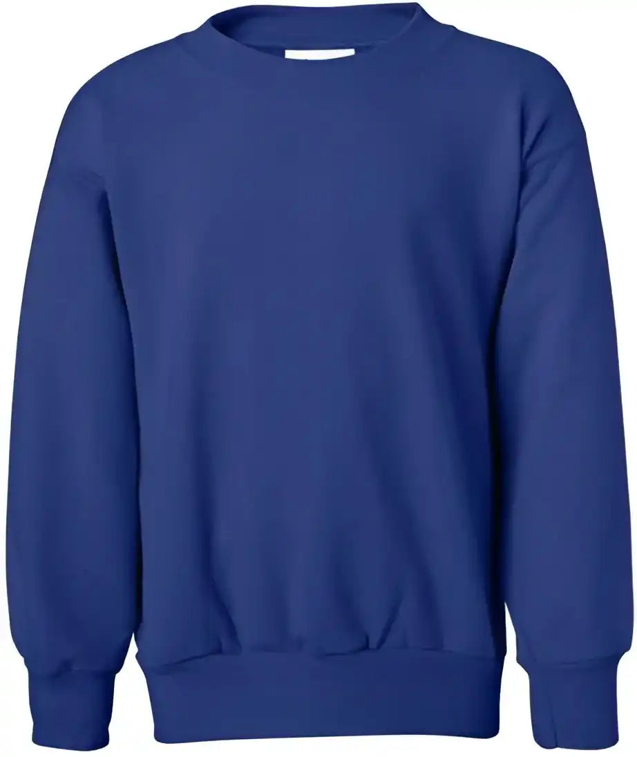 Hanes P360 Ecosmart Youth Crewneck Sweatshirt Deep Royal