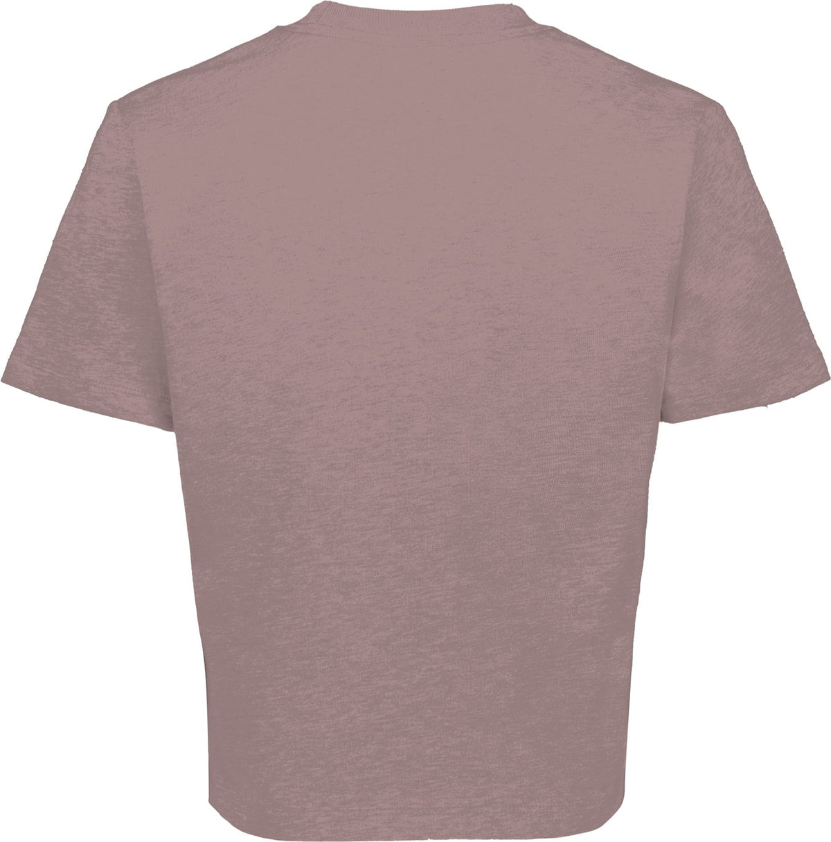 Holloway 226382 Ladies Sidney Heavywt Boxy Tee - Shitake