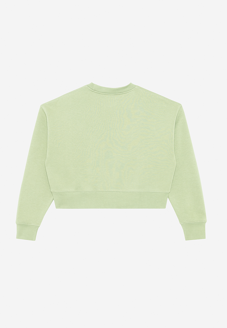 Lane Seven Apparel Ls88004 Women’s Relaxed Crop Crewneck - Matcha