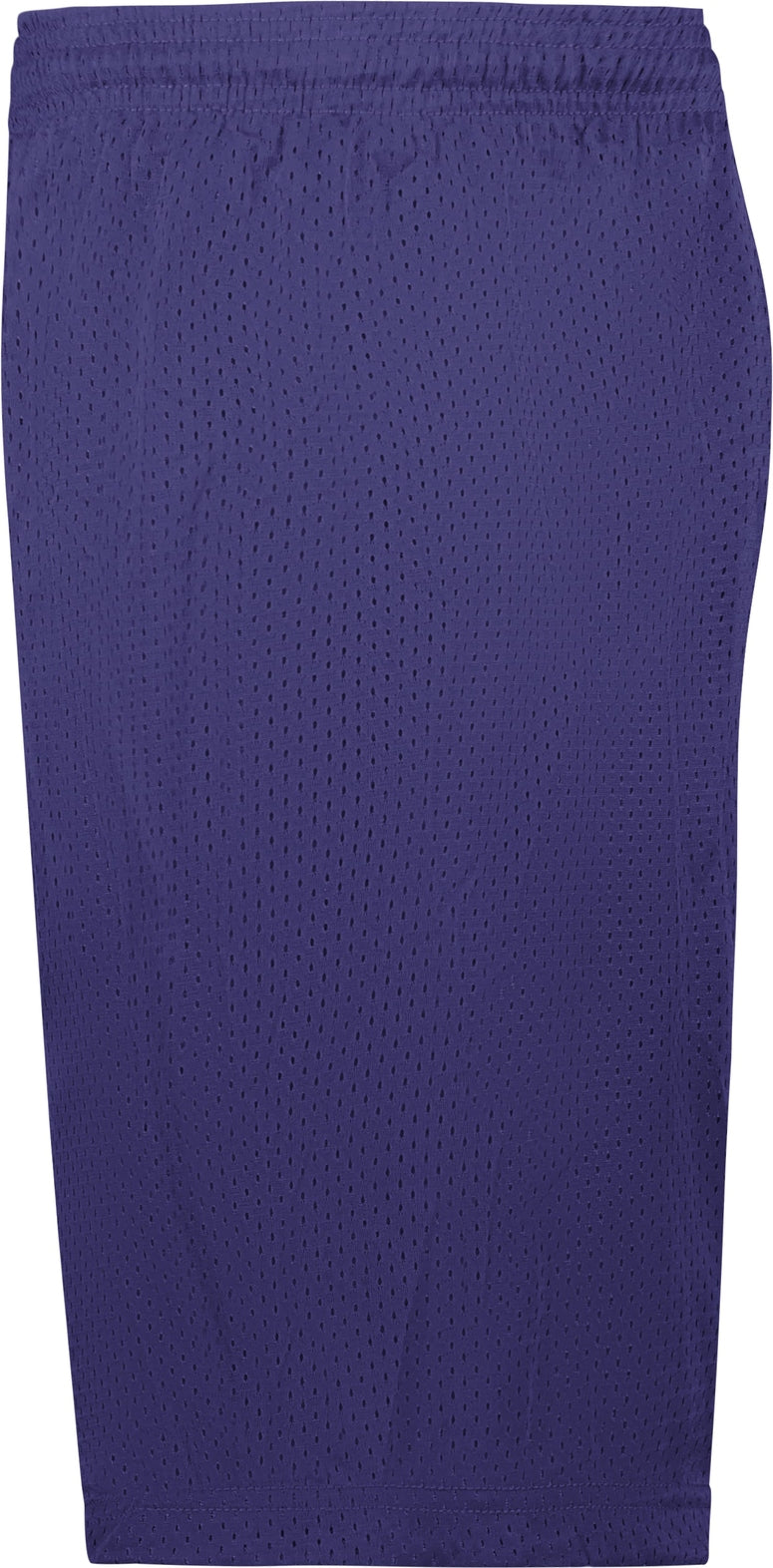 Left View of BA PURPLE MESH/TRICOT SHORT