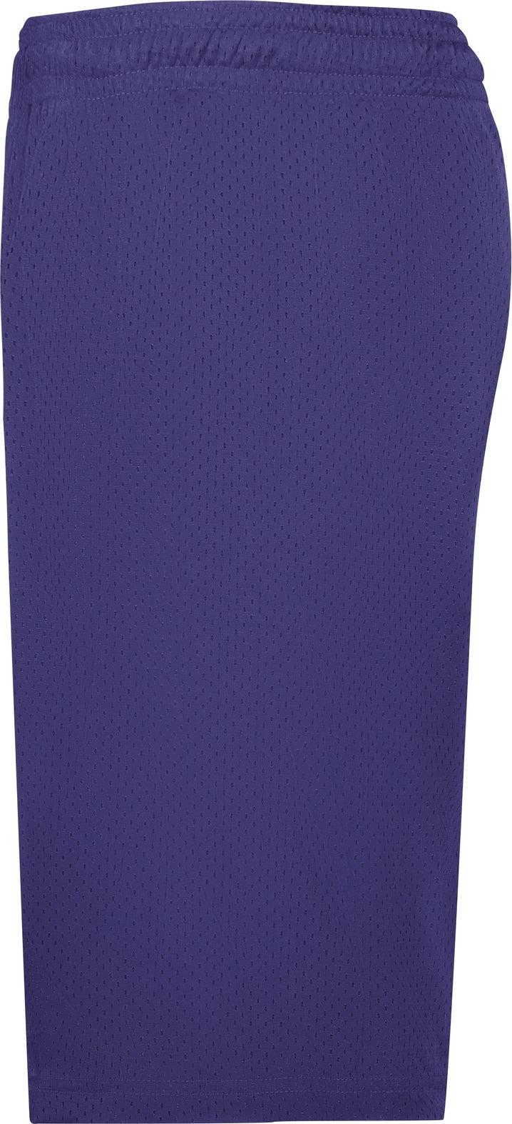 Left View of BA PURPLE MESH/TRICOT SHORT