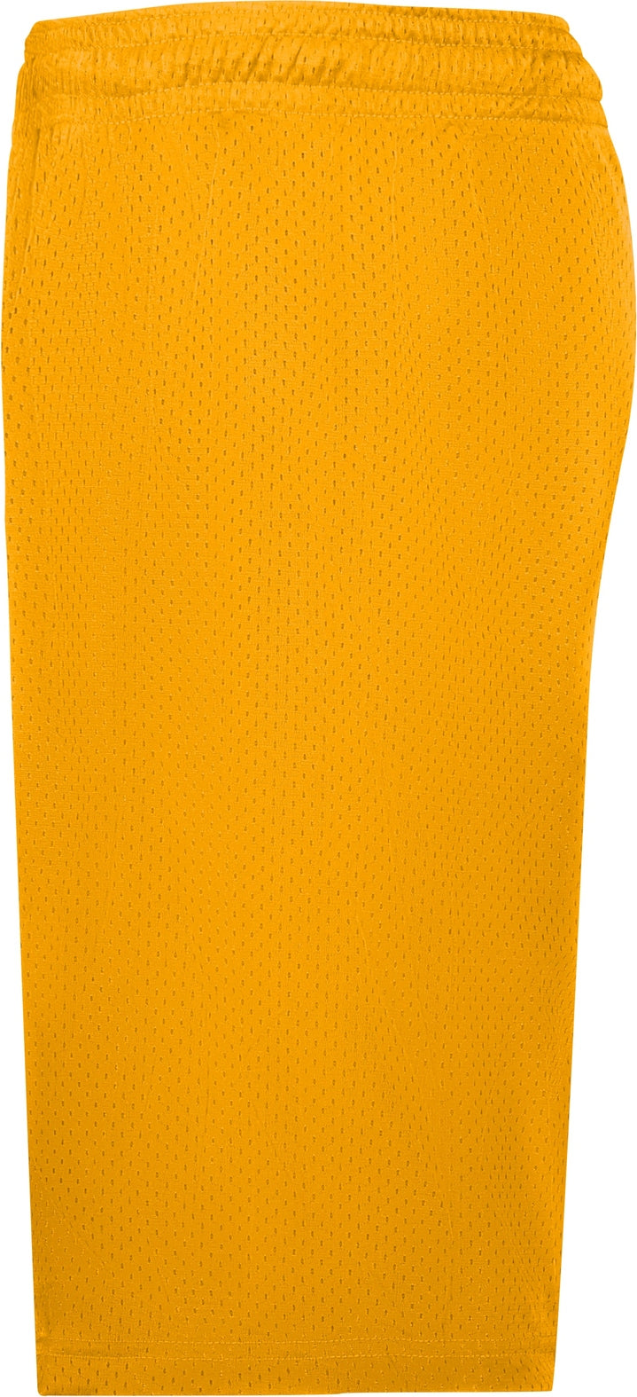 Left View of GOLD MESH/TRICOT SHORT