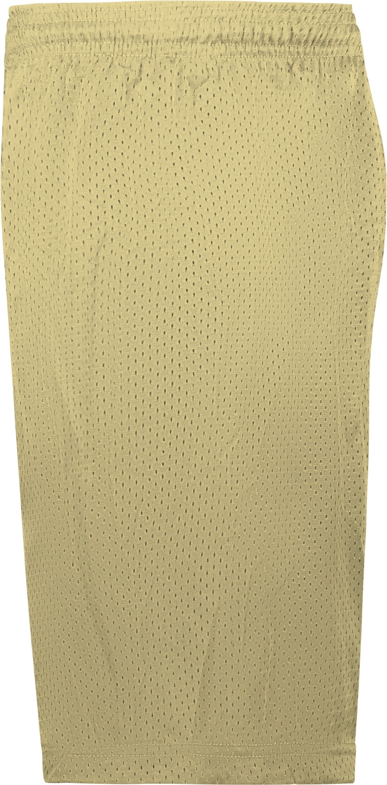 Left View of VEGAS GOLD MESH/TRICOT SHORT
