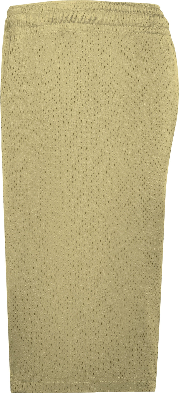 Left View of VEGAS GOLD MESH/TRICOT SHORT