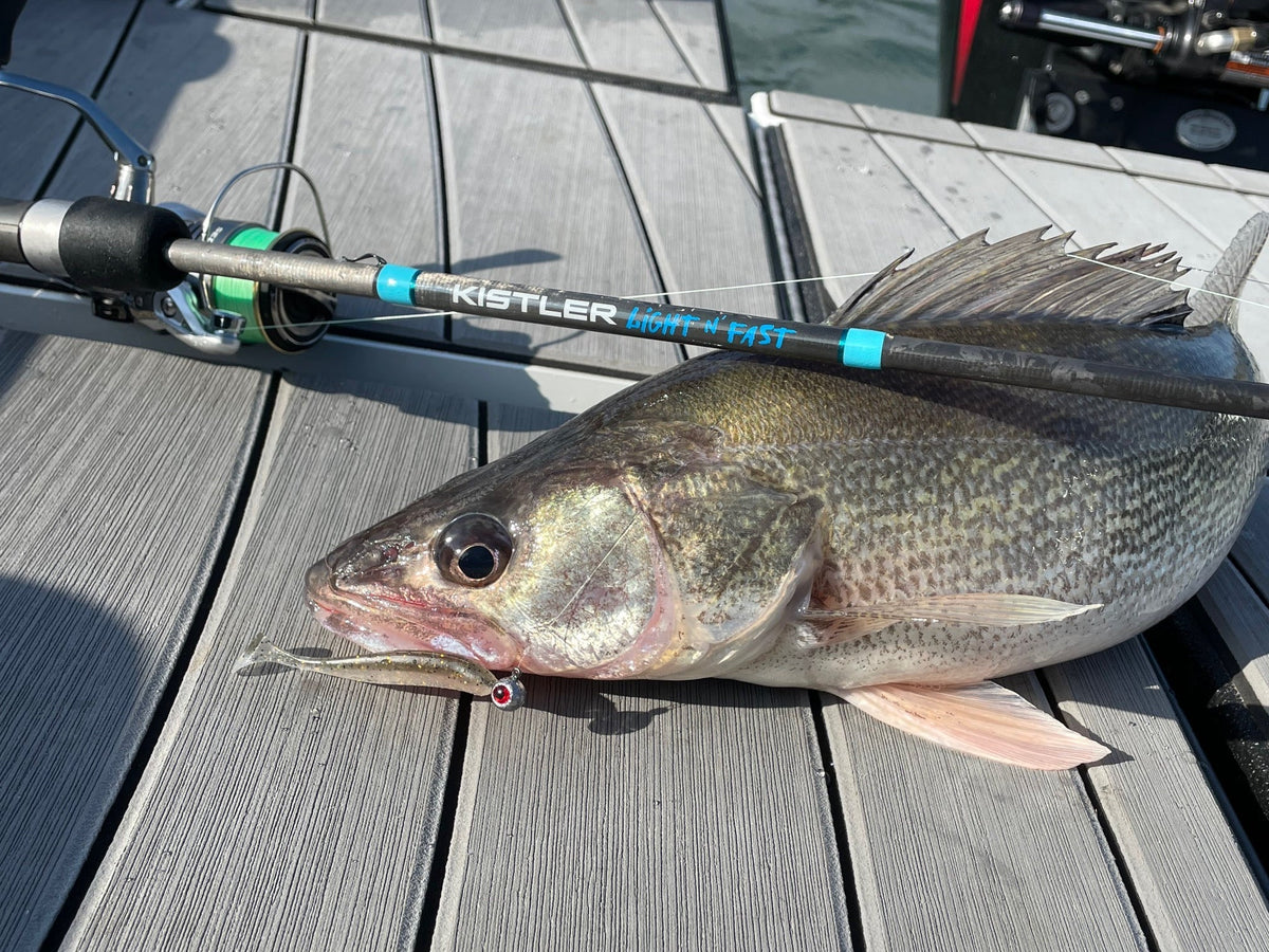 Light N’ Fast Fishing Rod