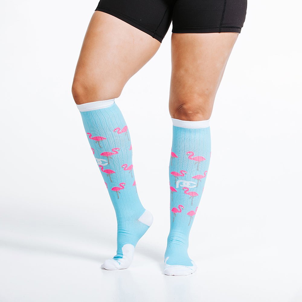 Marathon Flamingos