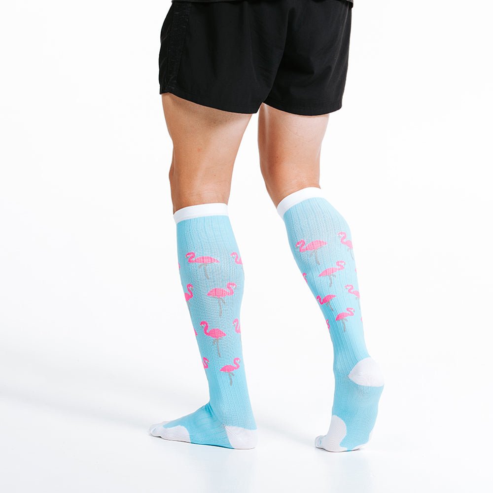 Marathon Flamingos