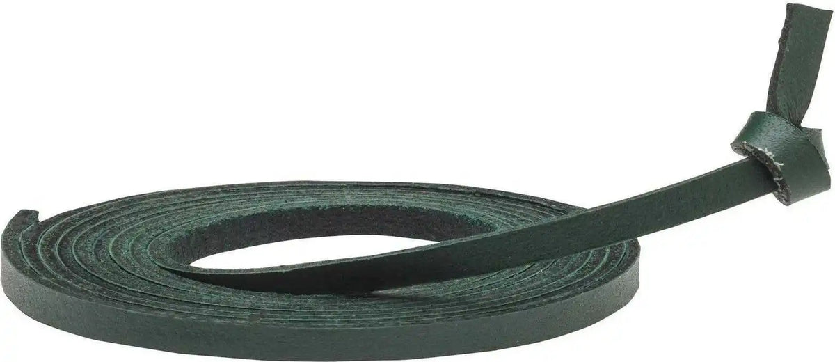 Mizuno 370139 Replacement Ball Glove Lace Forest (dark Green)
