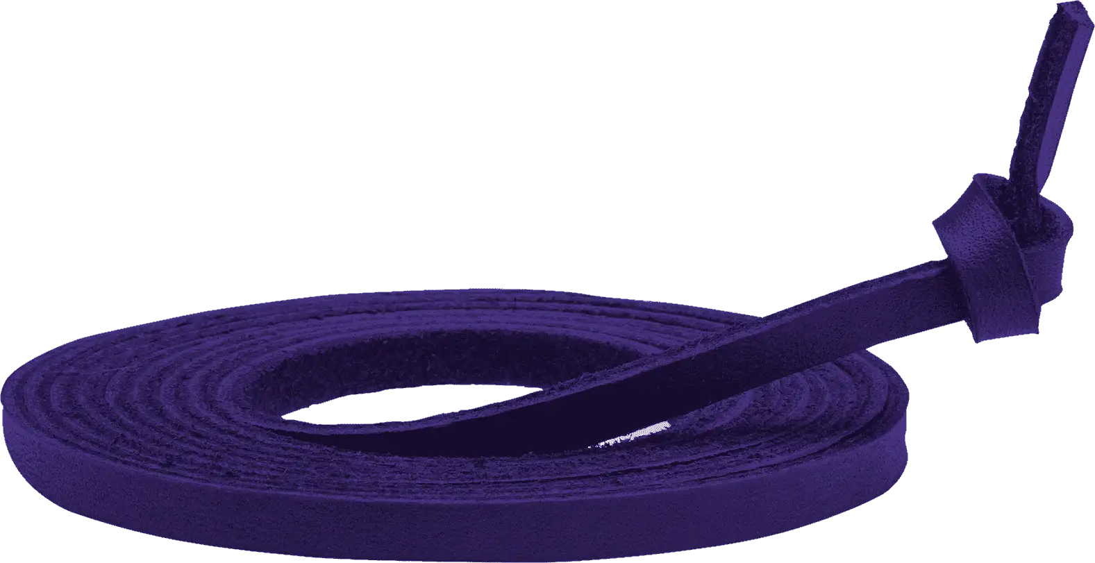 Mizuno 370139 Replacement Ball Glove Lace Purple