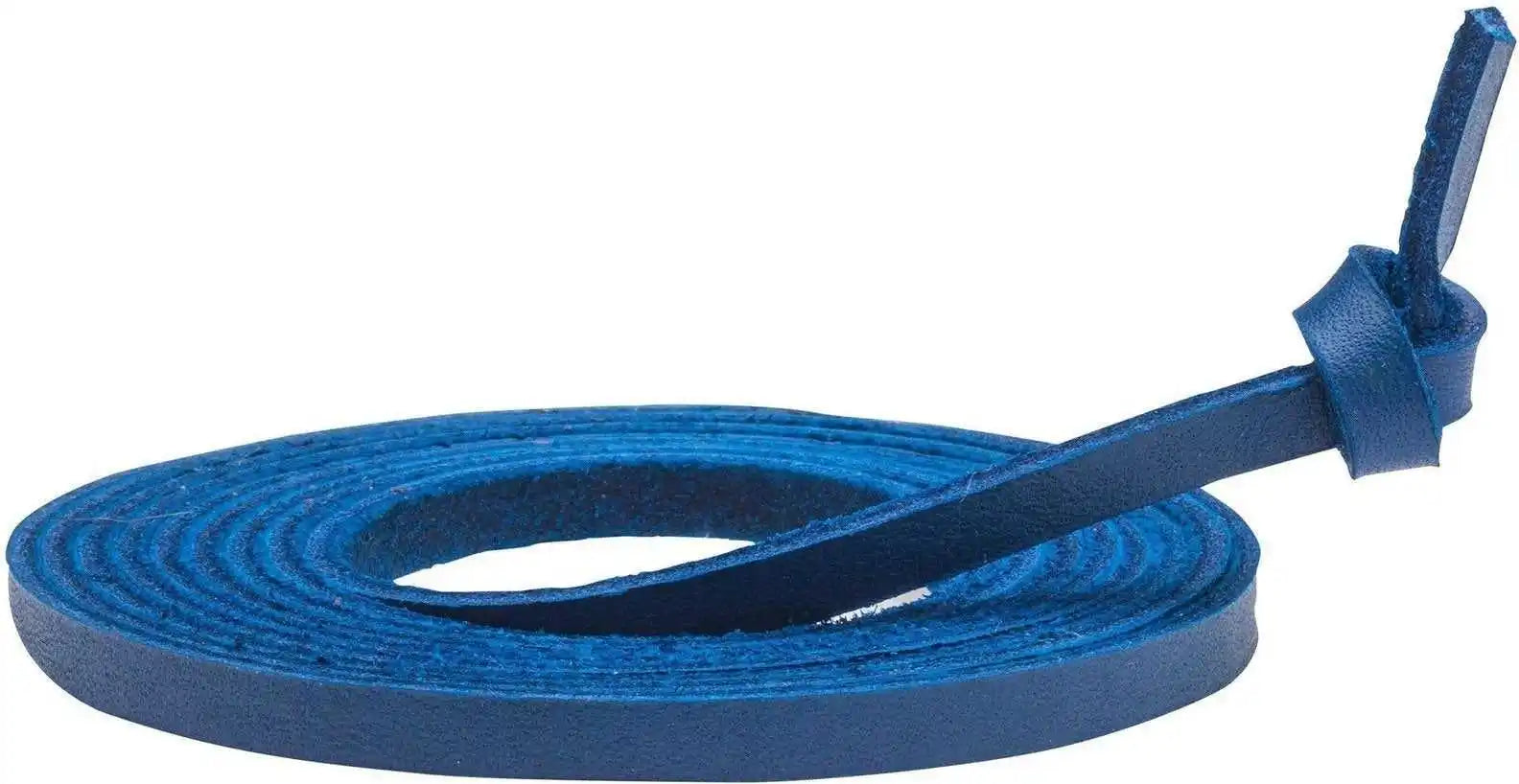 Mizuno Replacement Ball Glove Lace Royal