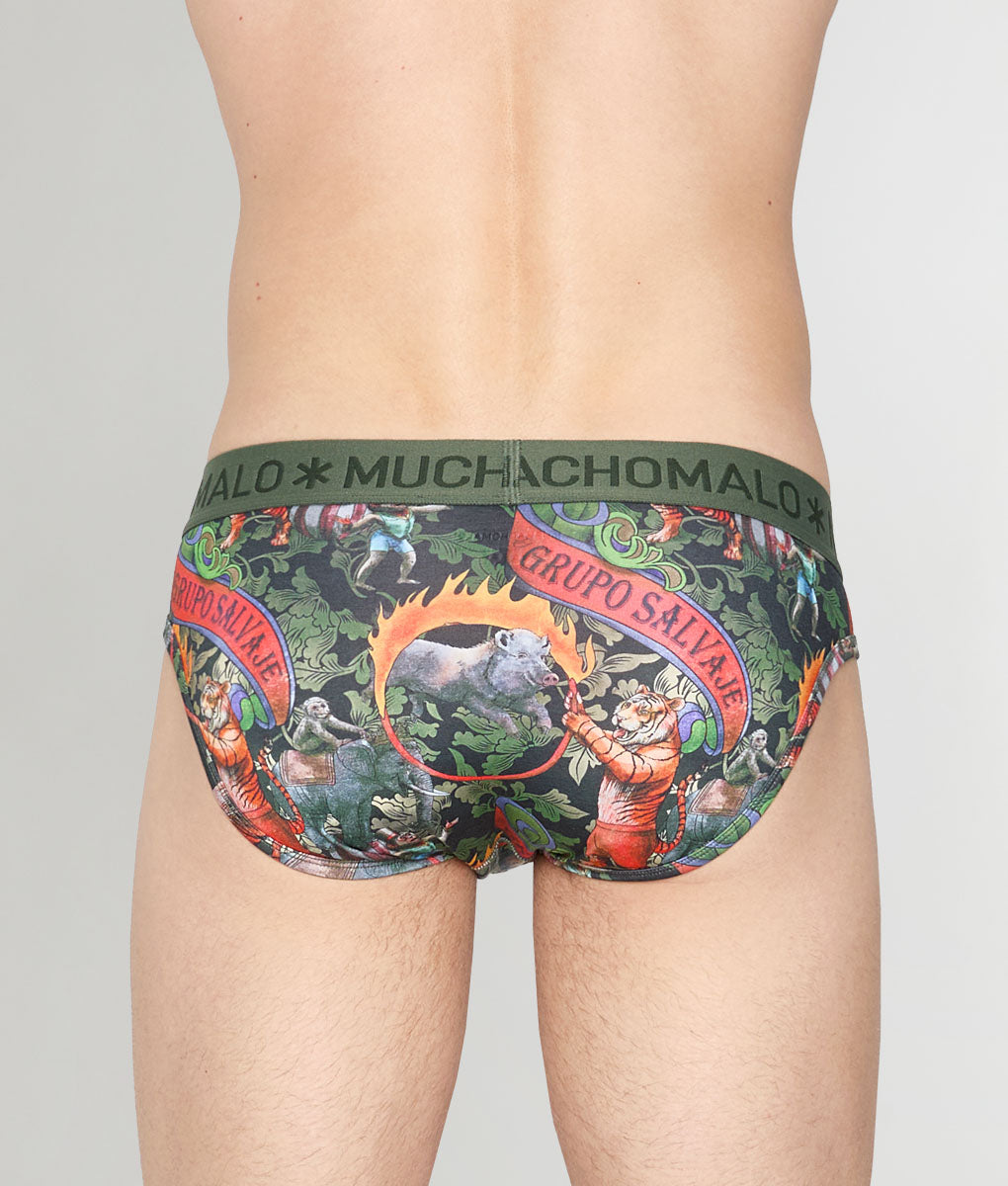 Muchachomalo Circus Animals Brief