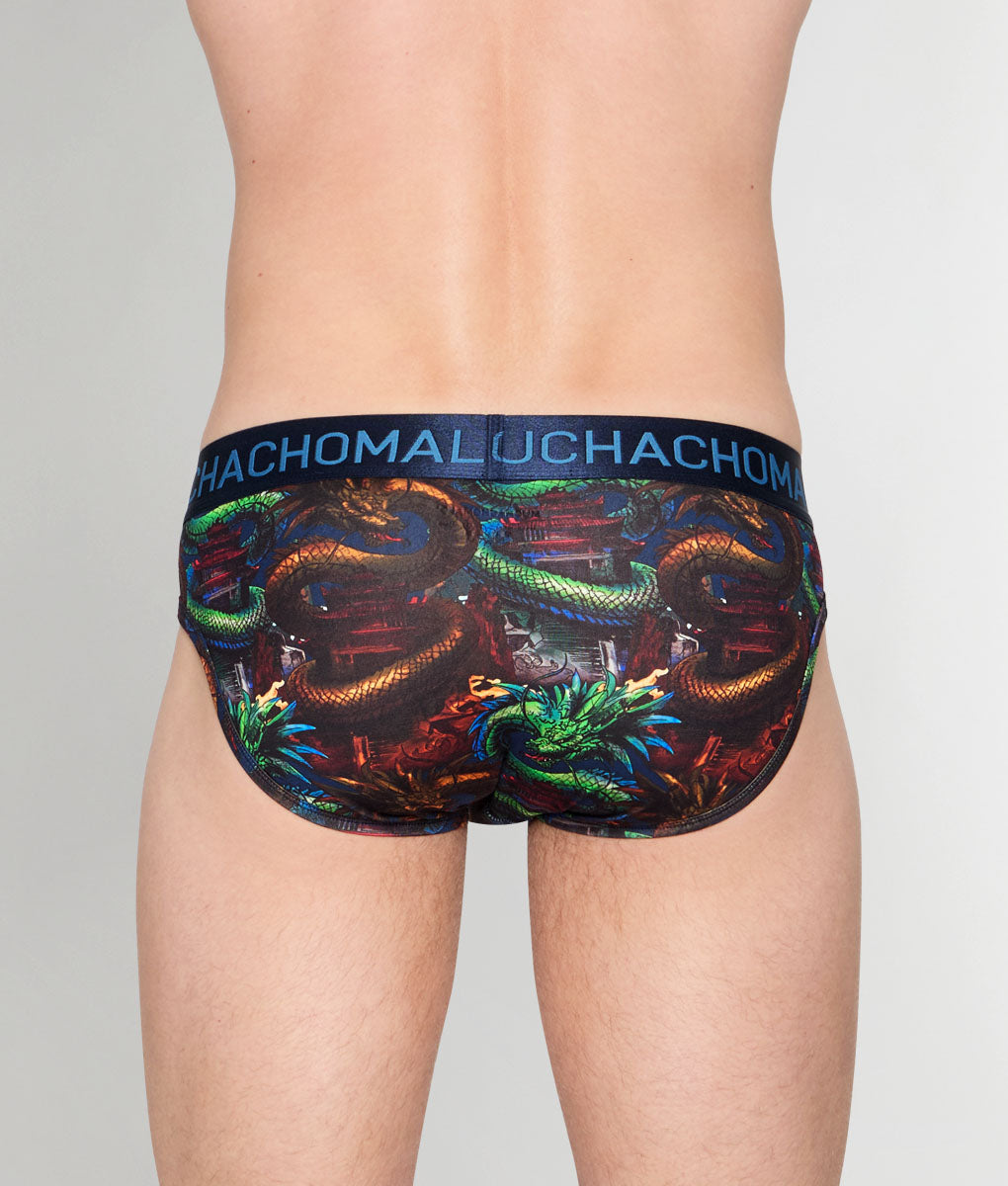Muchachomalo Dragon Brief