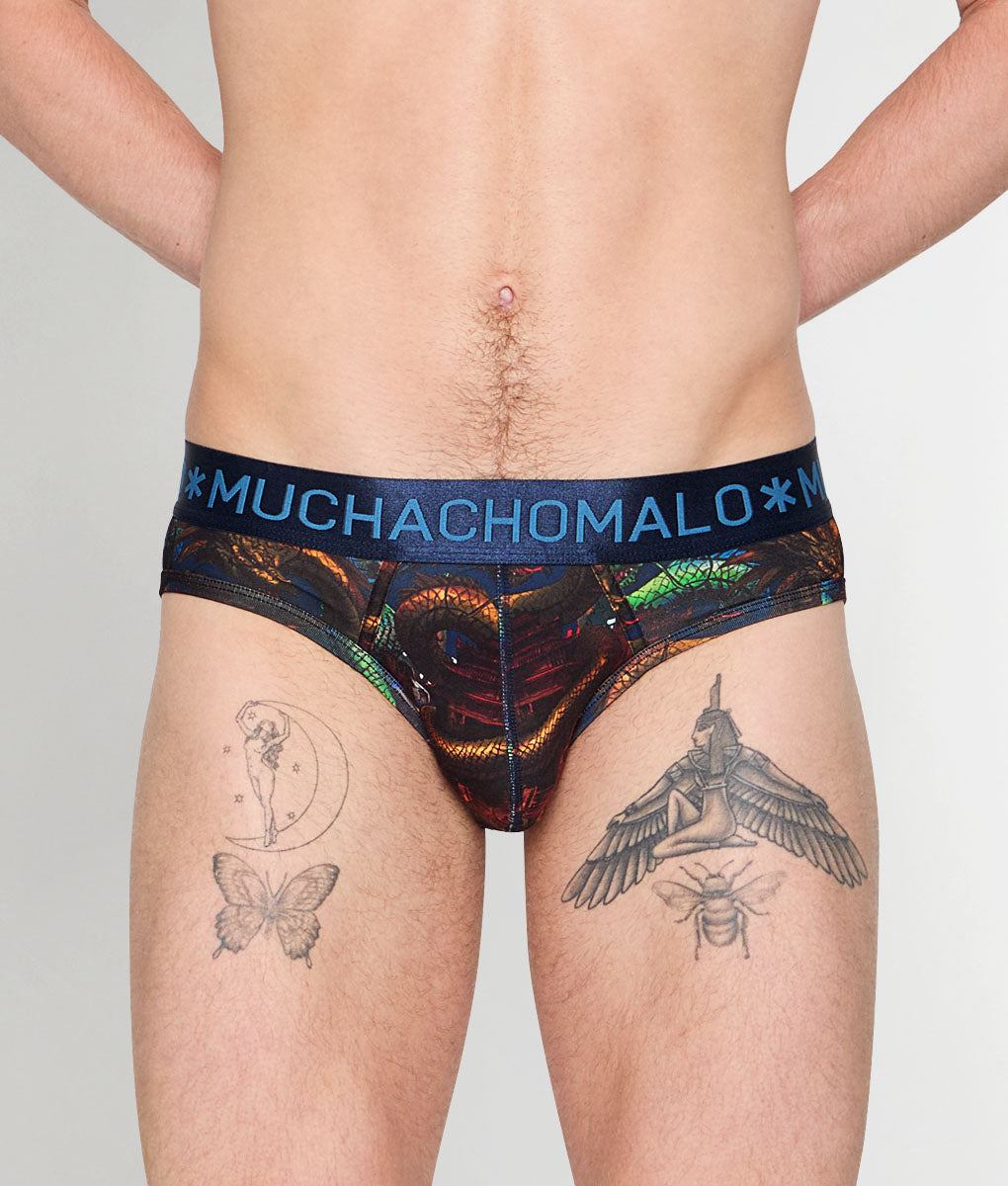 Muchachomalo Dragon Brief - Small
