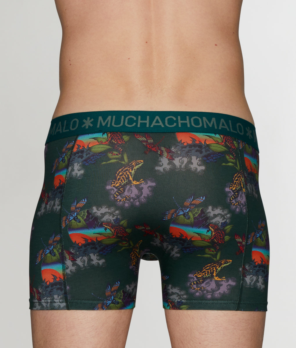 Muchachomalo Frogger Boxer Brief - Pattern Green / Small