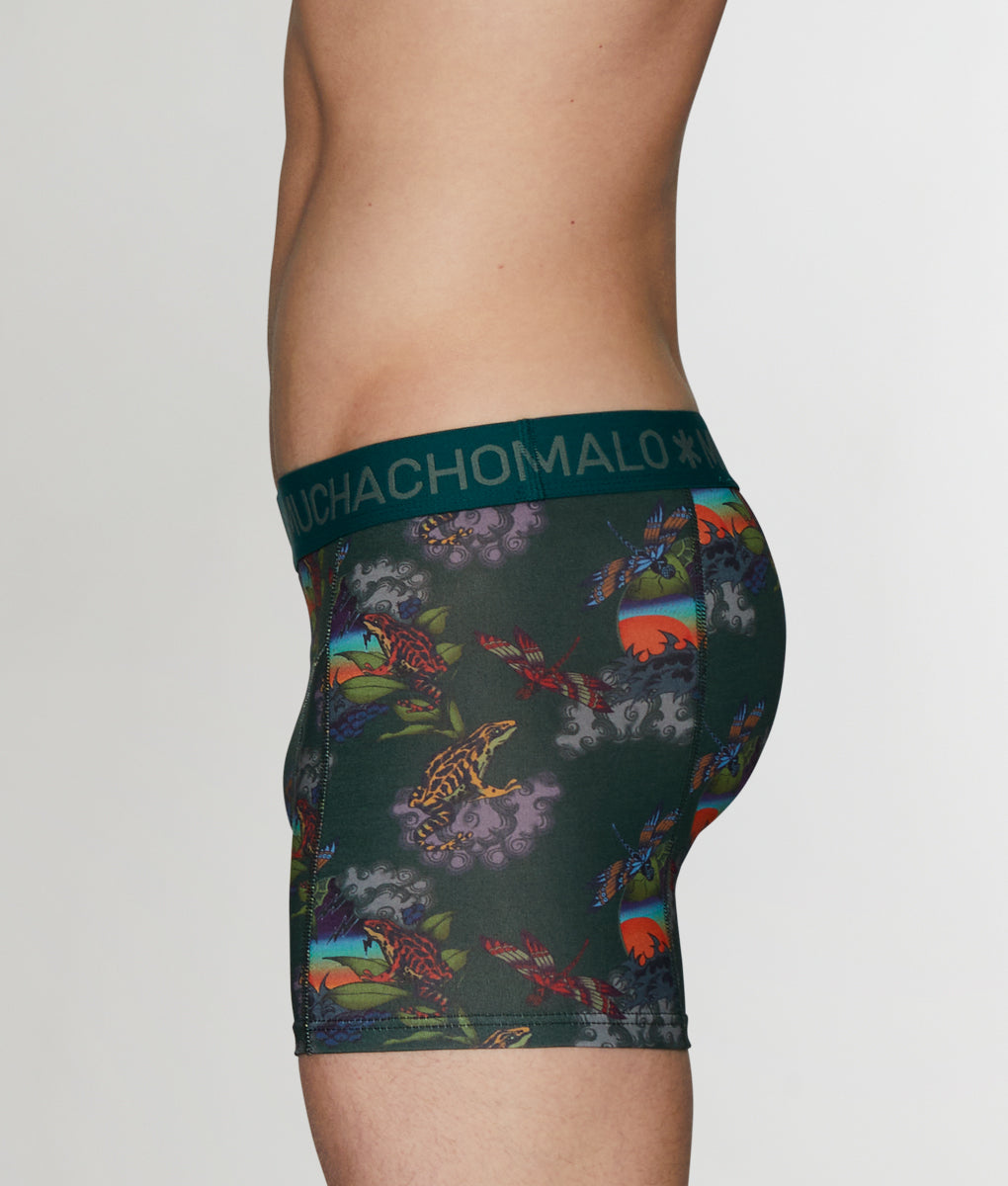 Muchachomalo Frogger Boxer Brief