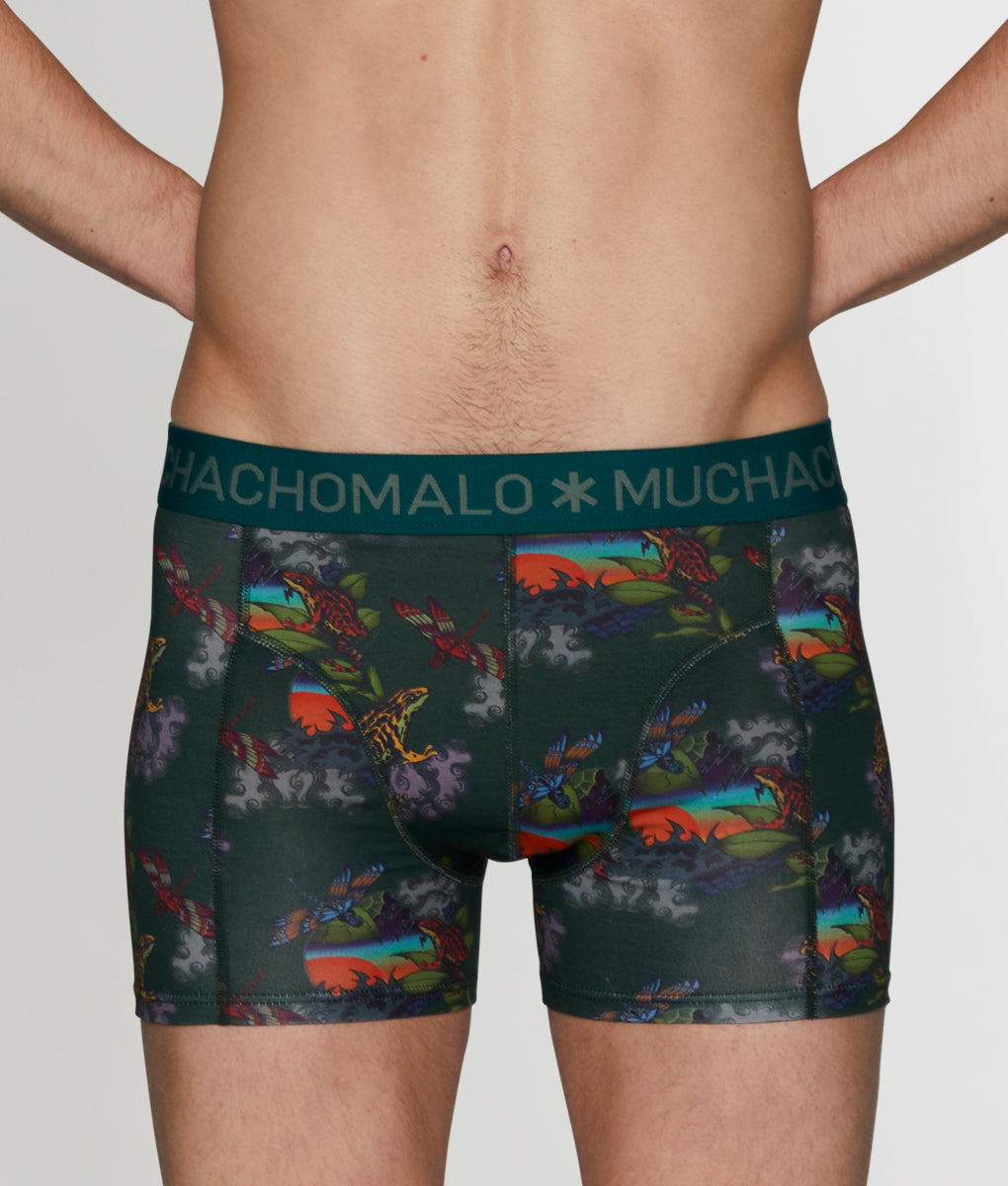 Muchachomalo Frogger Boxer Brief - Pattern Green / Small