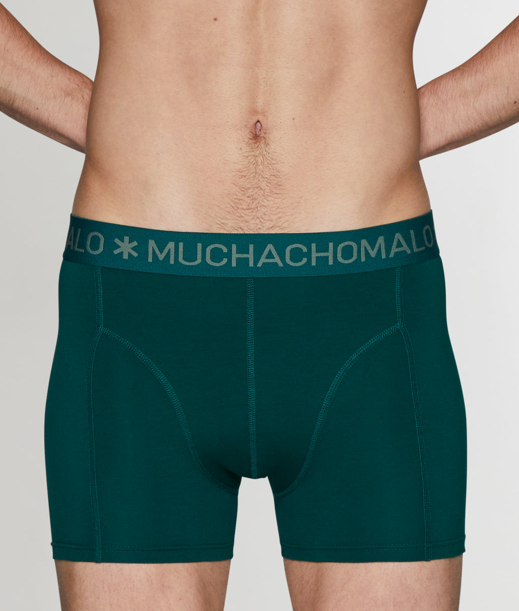 Muchachomalo Frogger Boxer Brief - Solid Green / Small