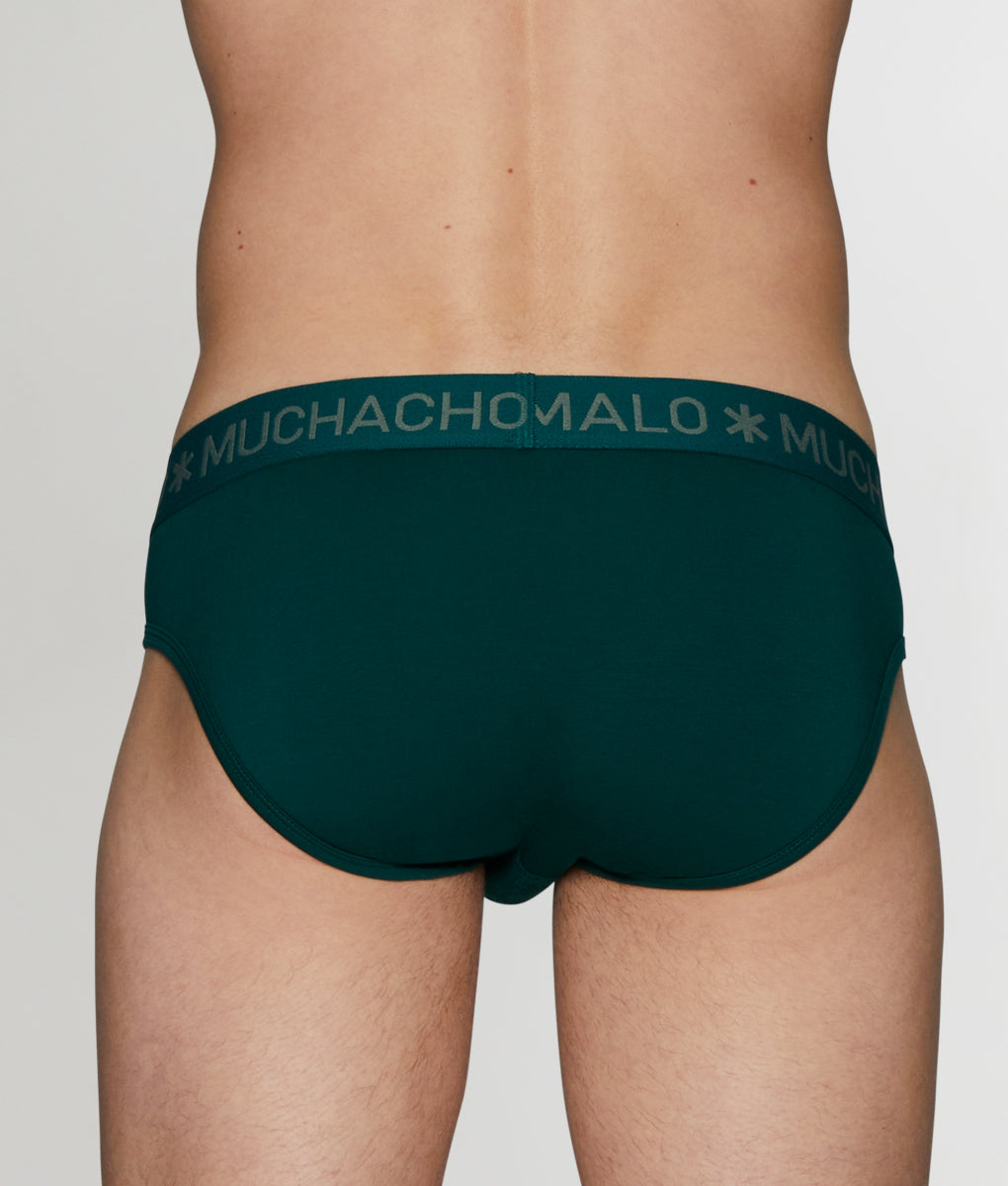 Muchachomalo Frogger Brief