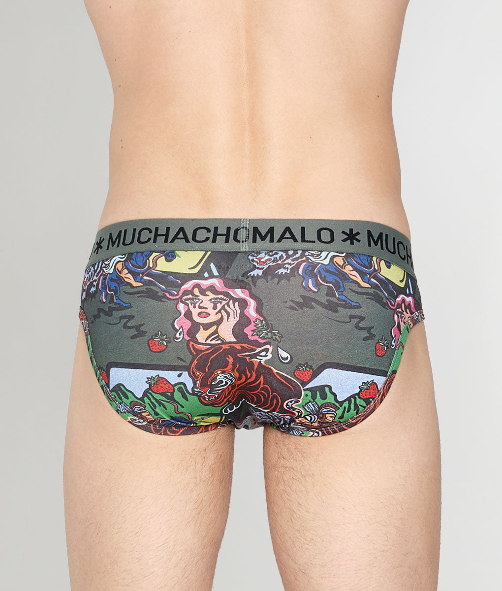 Muchachomalo Fruit Origin Brief