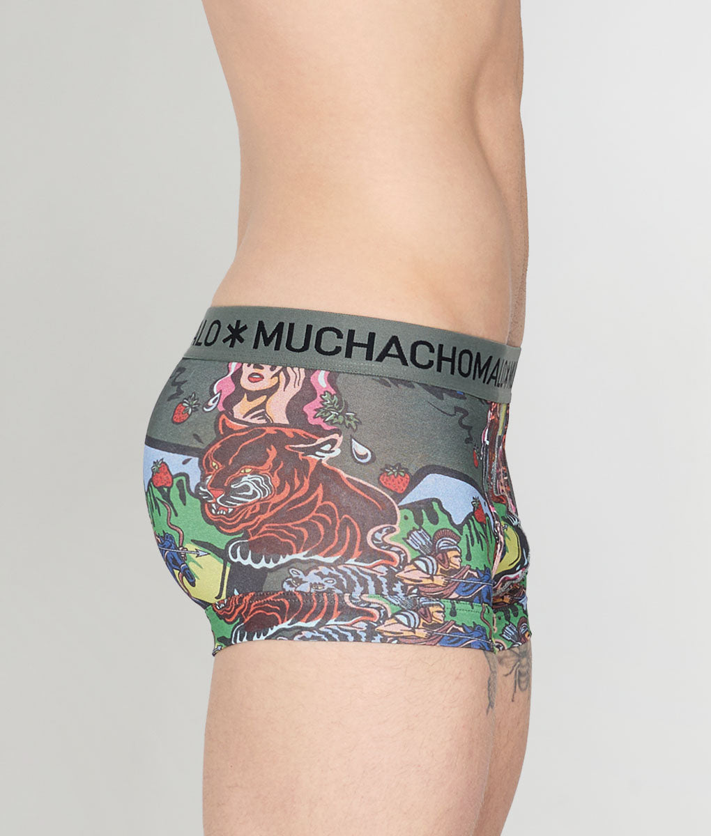Muchachomalo Fruit Origin Trunk