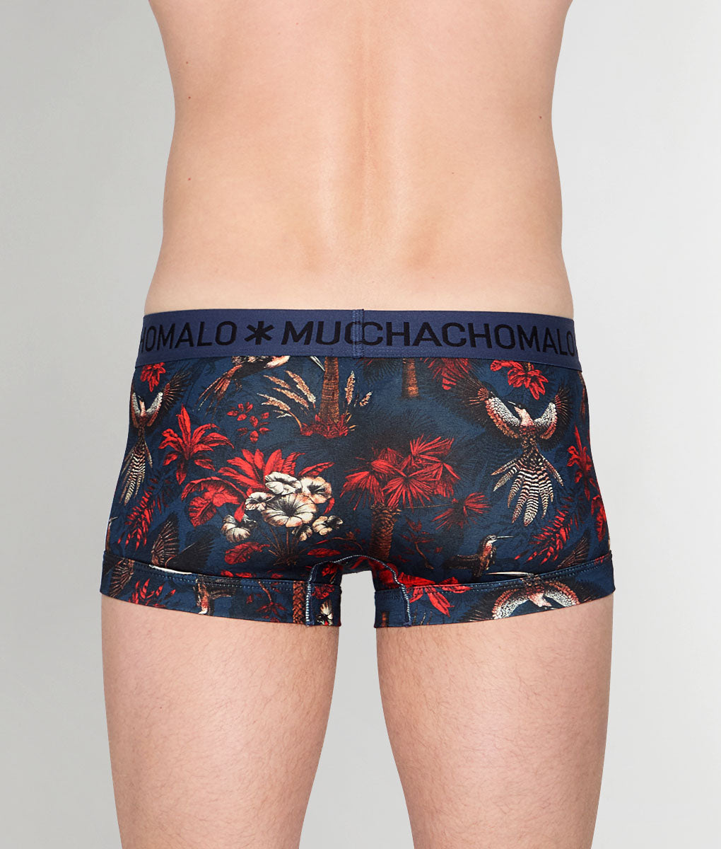 Muchachomalo Palm Birds Trunk - Small