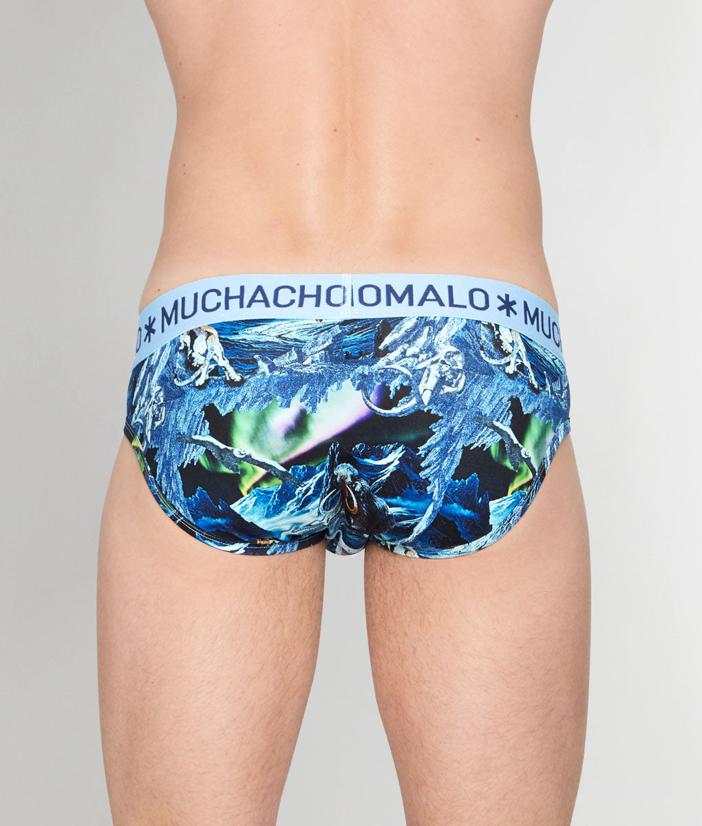 Muchachomalo Pre History Brief - Small