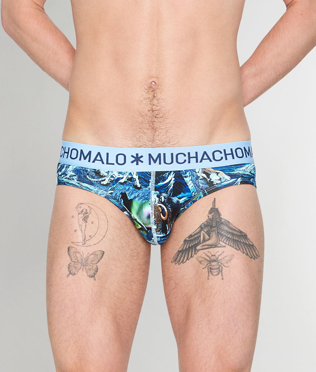 Muchachomalo Pre History Brief - Small