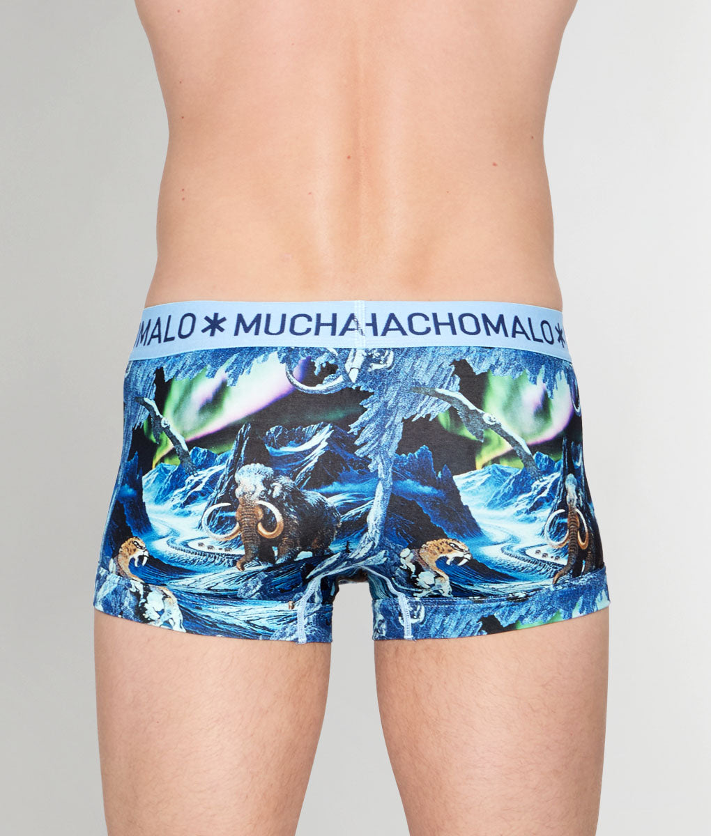 Muchachomalo Pre History Trunk - Small