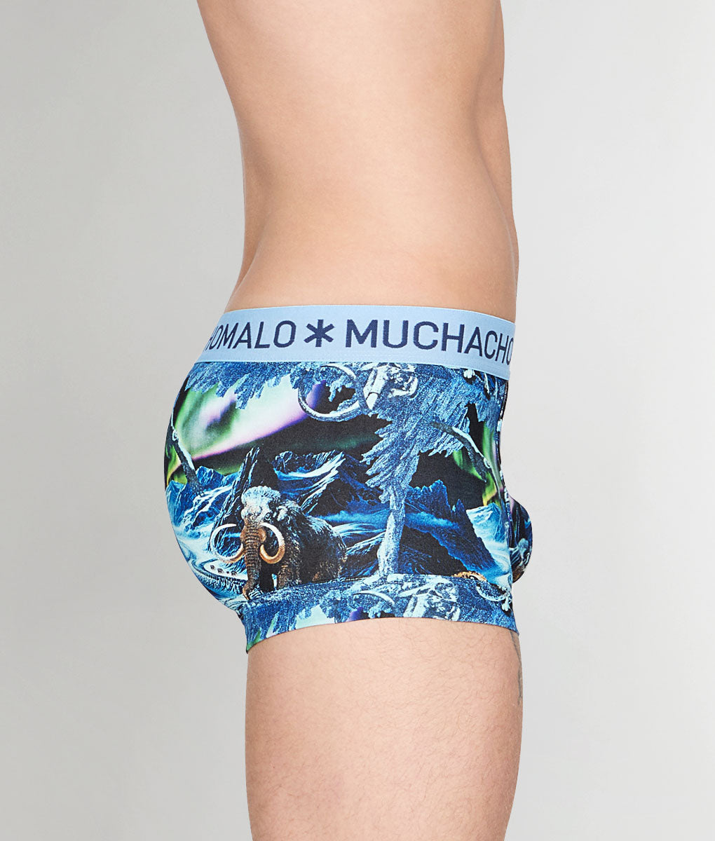 Muchachomalo Pre History Trunk