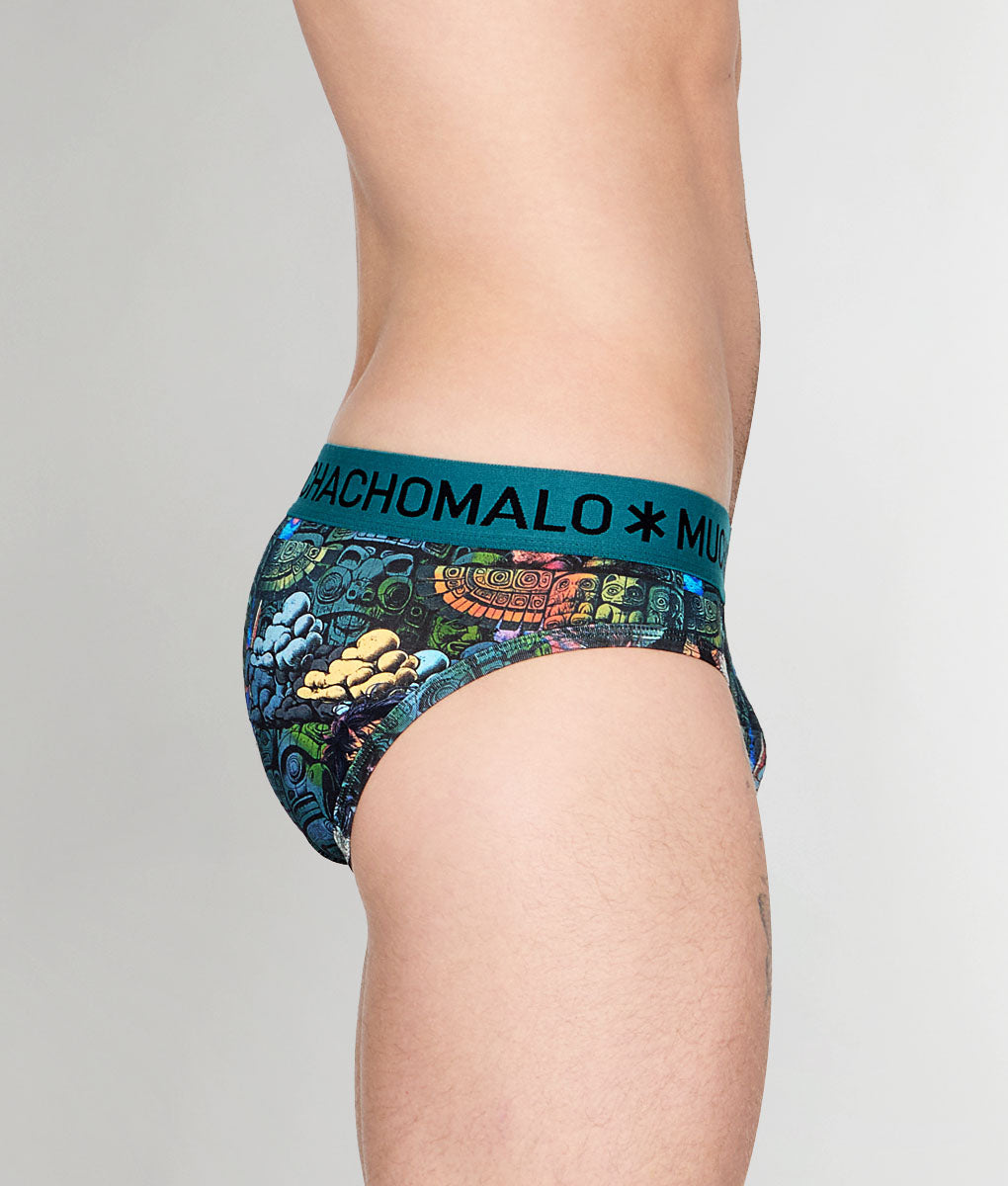 Muchachomalo Totem Horse Brief