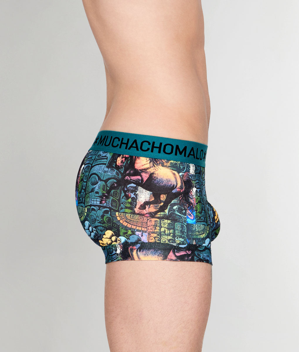 Muchachomalo Totem Horse Trunk