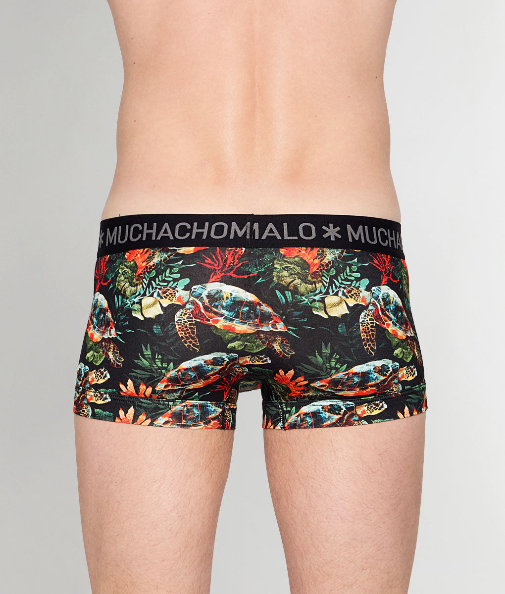 Muchachomalo Turtle Trunk - Small
