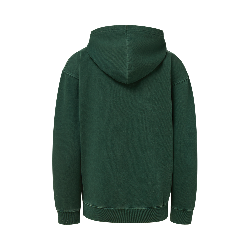 Mv Sport 25100y Coastal Color Youth Hoodie - Verdant Forest