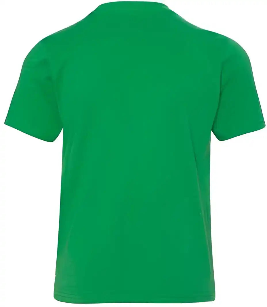 Next Level 3310 Youth Cotton Crew Kelly Green