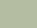Olive Crewneck T-Shirt - US2000  grouped